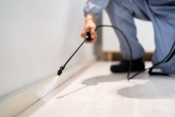 Best Pest Prevention Services  in San Angelo, TX