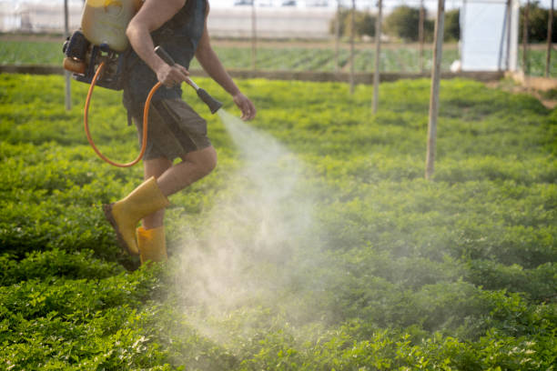 Best Affordable Pest Control Services  in San Angelo, TX