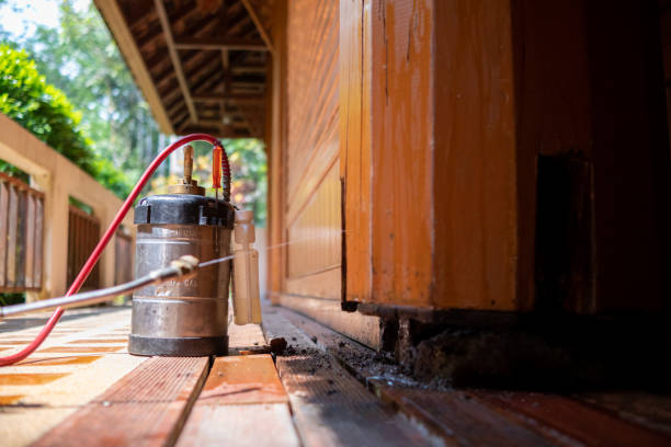 Best Pest Removal Services  in San Angelo, TX